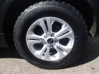 /photos/9922/09e6e2f3-0f02-40bc-9ea5-3d4085ed8e3d_i320x240.jpg